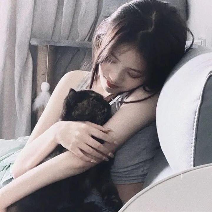 明月守护者