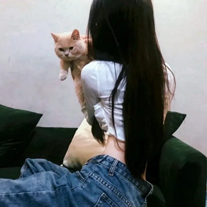 谍网妖姬
